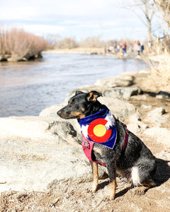 Colorado Bandana