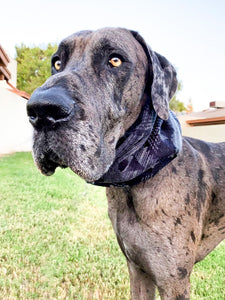 Frosted Midnight Snood