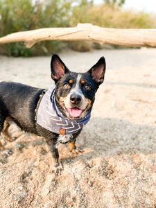 Riverbed Bandana